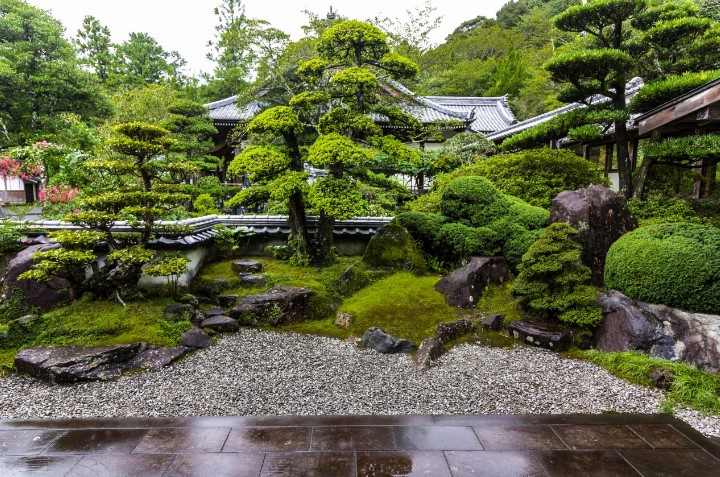 The Serenity and Beauty of Japanese Gardens