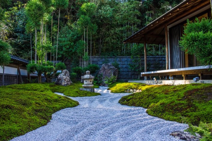 The Tranquil Beauty of a Zen Garden