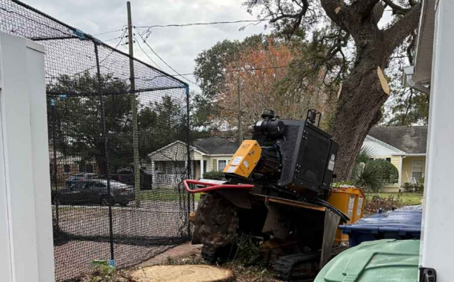 How We Support Neighbors When Storms Hit