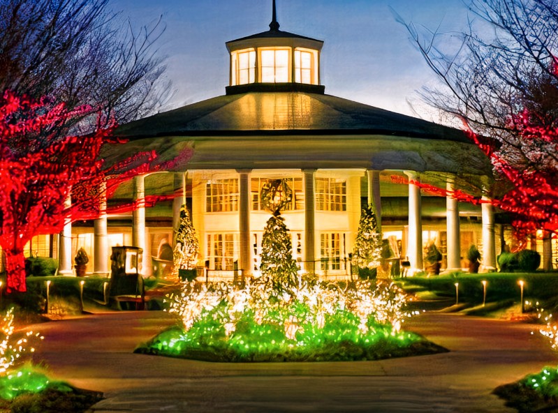 Make Your Business Shine This Holiday Season with Christmas Lights in Englewood